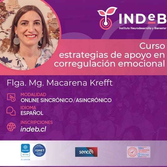 Curso Estrategias de apoyo en desregulación